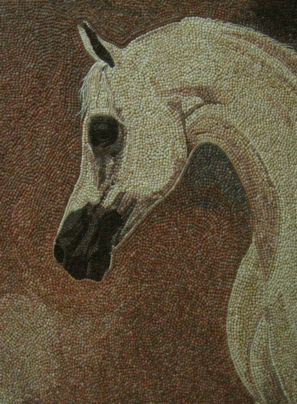 Mosaic-Art-Horse-Seashell-Akeel-Zarkany-1