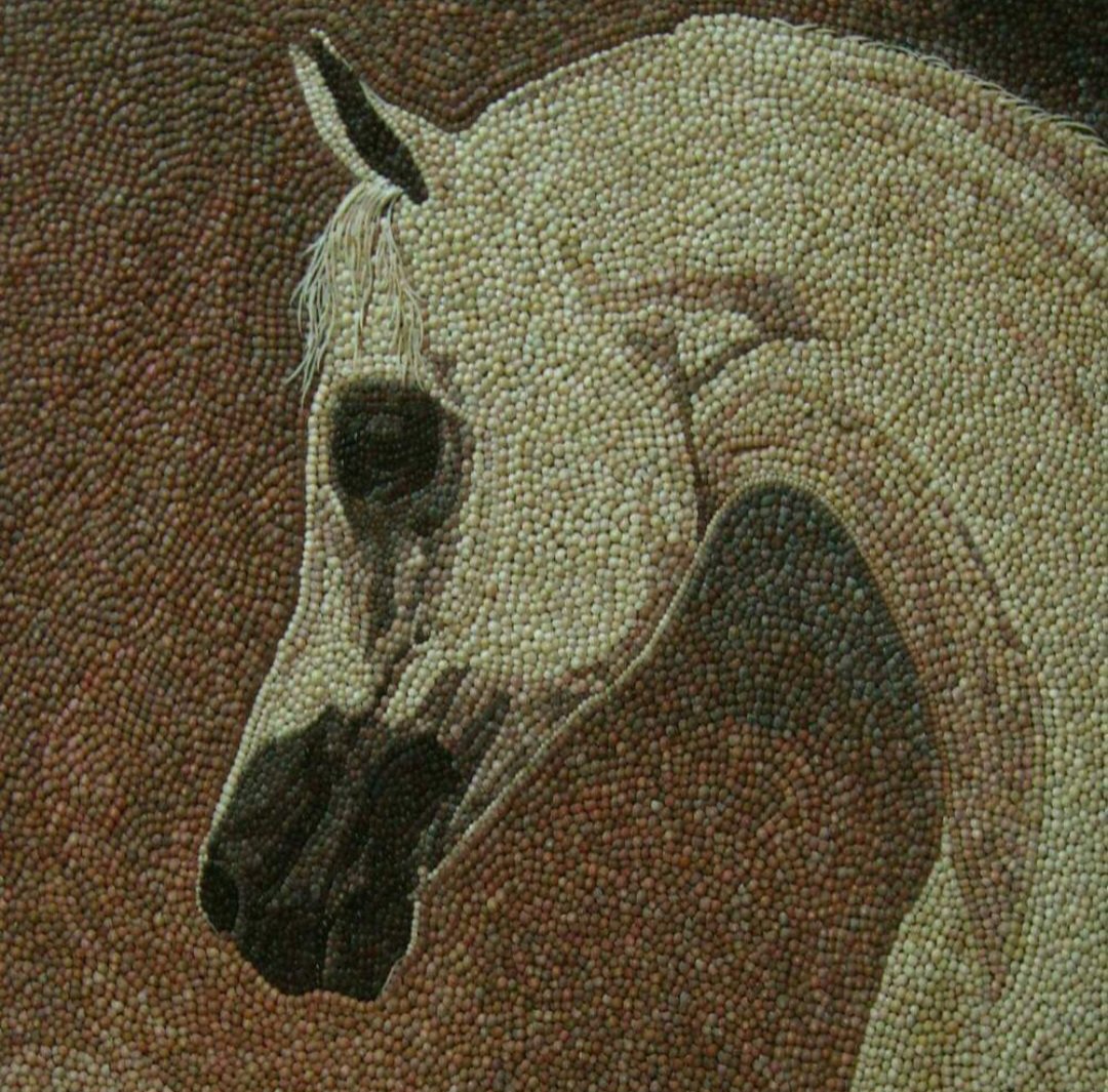 Mosaic-Art-Horse-Seashell-Akeel-Zarkany-1A