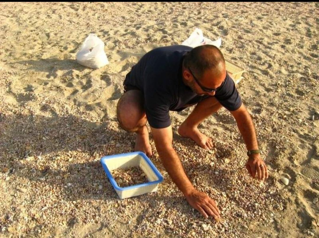Mosaic-Art-Horse-Seashell-Akeel-Zarkany-8